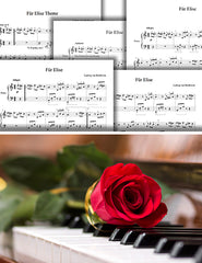 Für Elise: Pick your level - Piano sheet music