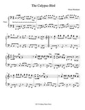 The Calypso Bird Level 5 - 1st piano music sheet